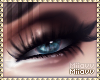 |M. Beauty Aqua Eyes |