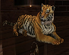Wild Anim Tiger