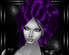 purple dahlia hairs