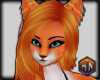 skin orange kitty furry
