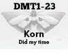 Korn Did my time