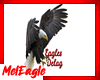 Eagles Delag