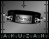 :A: Owned Collar