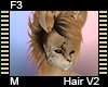 F3 Hair M V2