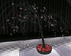 tree b/red animated