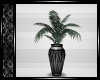 KMA Vase w Plant