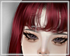 ♰ Luciel