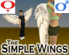 Simple Wings -Feathers