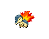 Animated Cyndaquil