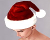 Guys Animated Santa Hat