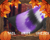 ꨄVanessa Tailꨄ