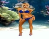 [L] Royal blue bikini