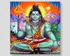 Lord Shiva9