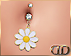 DD| Daisy