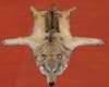 Rug Wolf Skin