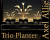 AA Trio Planter