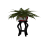 special potted plant II