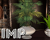 {IMP}Uptown Plant