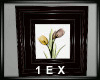 1EX Elegant Tulip Black