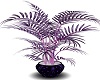 Decorative plant(Dev)