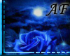 [AF]Blue Rose