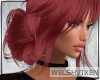 WV: Bella T 11 Red