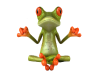 tranquil frog