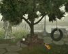 Bench Tree & Swing