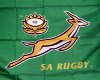 Springbok Supporter T