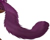 Purple Cat Tail