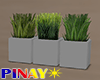 Potted Grass - Grey