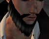 Black Grey Beard