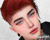 S. Rankin Aurburn