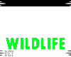D|WildLife wl1-17