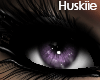 [HK]Purple Eyes