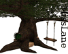 [ML] Backyard Tree