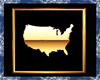 USA gold Frame