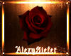 !AS! red rose 2