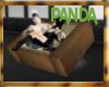 [PANDA] Cardboard Cuddle