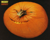 Moby-Honey (1)