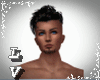 Perfect Head Scaler M/F