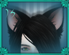 (IS) Black Cat  Ears F/M