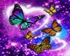 Club Main- Butterflies