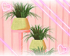 ♔ Furn ♥ Planters