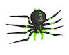 JN Green Spider