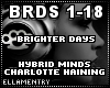 BrighterDays-HybridMinds
