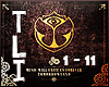 (C) TomorrowLand Intro