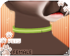 [Pets] Binky | collar v2