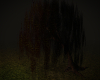 H. Dark Weeping willow