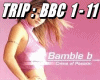 Bamble B Crime Of Passio